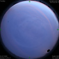 1593536975.jpg