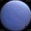 1593537035.jpg