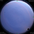 1593537231.jpg
