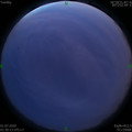 1593541838.jpg
