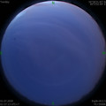 1593543459.jpg