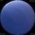 1593543819.jpg
