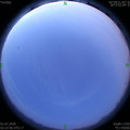 1593545004.jpg