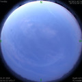 1593546175.jpg