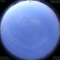 1593546235.jpg