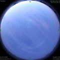 1593546820.jpg