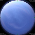1593547165.jpg