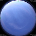 1593547225.jpg