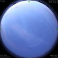 1593547601.jpg