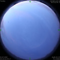 1593548381.jpg