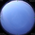 1593548636.jpg