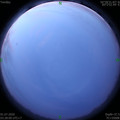 1593548906.jpg