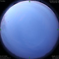 1593548966.jpg