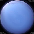 1593550032.jpg