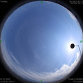 1593599826.jpg