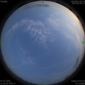 1593614429.jpg