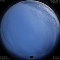 1593617325.jpg