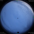 1593617385.jpg