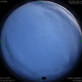 1593617445.jpg