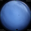 1593617821.jpg