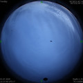 1593617880.jpg