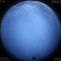 1593618120.jpg