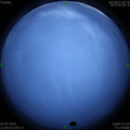 1593618301.jpg