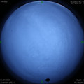 1593618496.jpg
