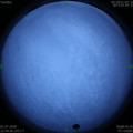 1593618616.jpg