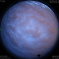 1593621242.jpg