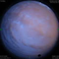 1593621497.jpg