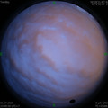1593621617.jpg