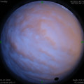 1593621677.jpg