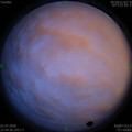 1593621917.jpg