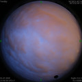 1593622037.jpg