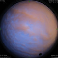 1593622292.jpg