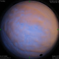 1593622412.jpg