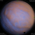 1593622533.jpg