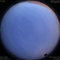 1593624499.jpg