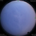 1593625294.jpg