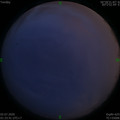 1593628446.jpg