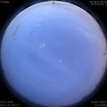 1593631342.jpg