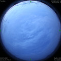 1593634794.jpg