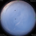 1593640181.jpg