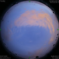 1593710116.jpg