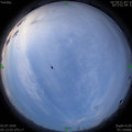 1593728050.jpg