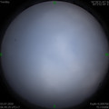 1593733782.jpg