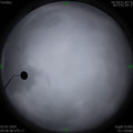 1593744423.jpg
