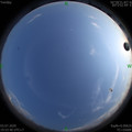 1593780846.jpg