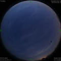 1593802486.jpg